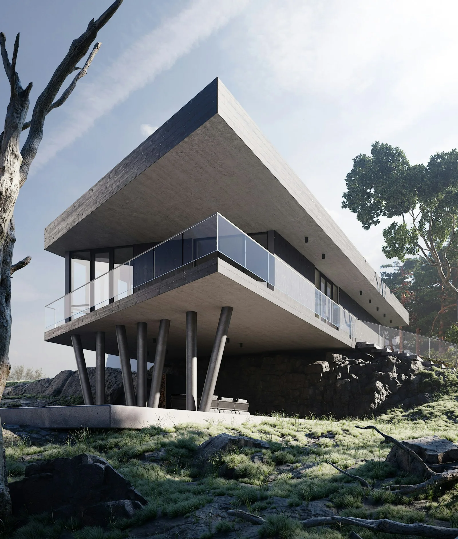 Modern betonarme villa mimarisi